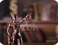 Business and Legal Concerns